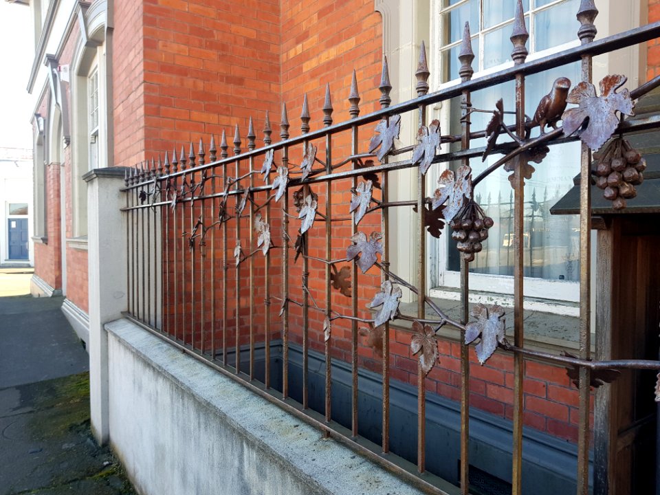 Grape Vine fence in Martinborough