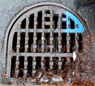Grate - Arlington, MA - DSC04295