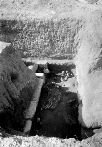 Grav 11, fyndlagret in situ. Amathus. Agios Tychos - SMVK - C02288
