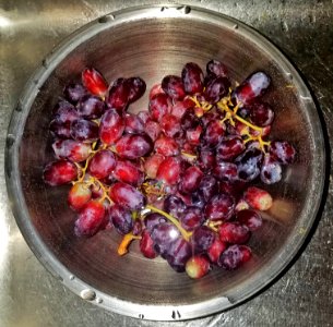 Grapes - Massachusetts photo