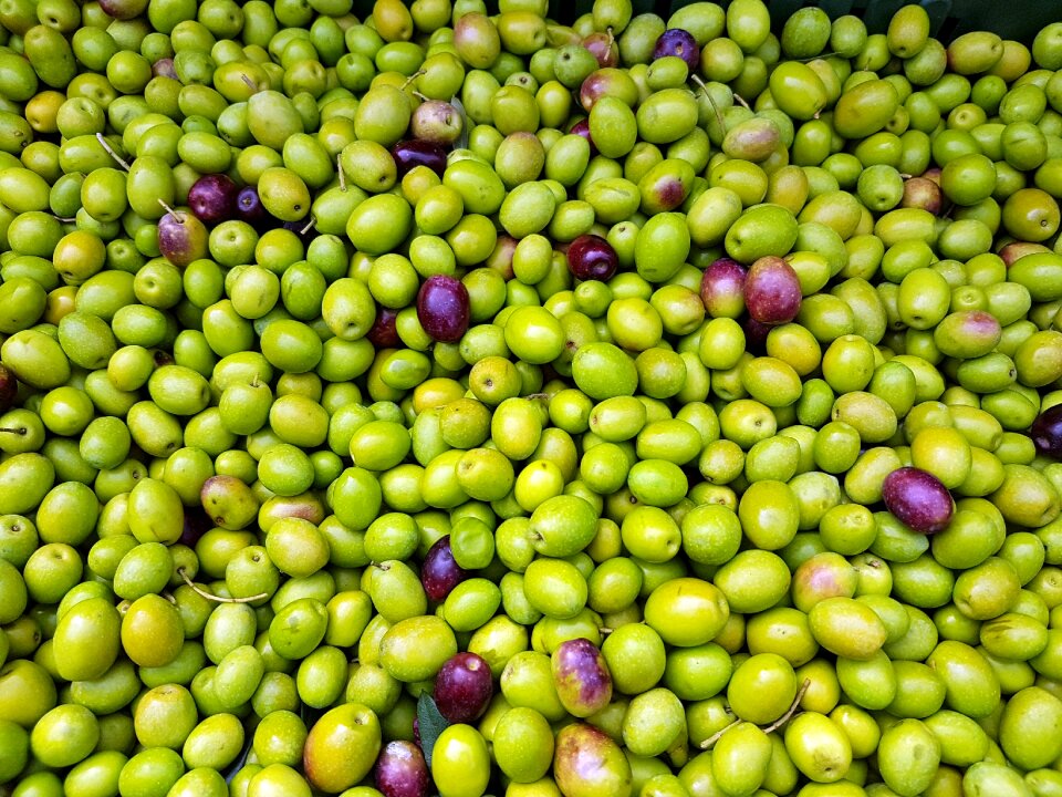 Natural harvest organic