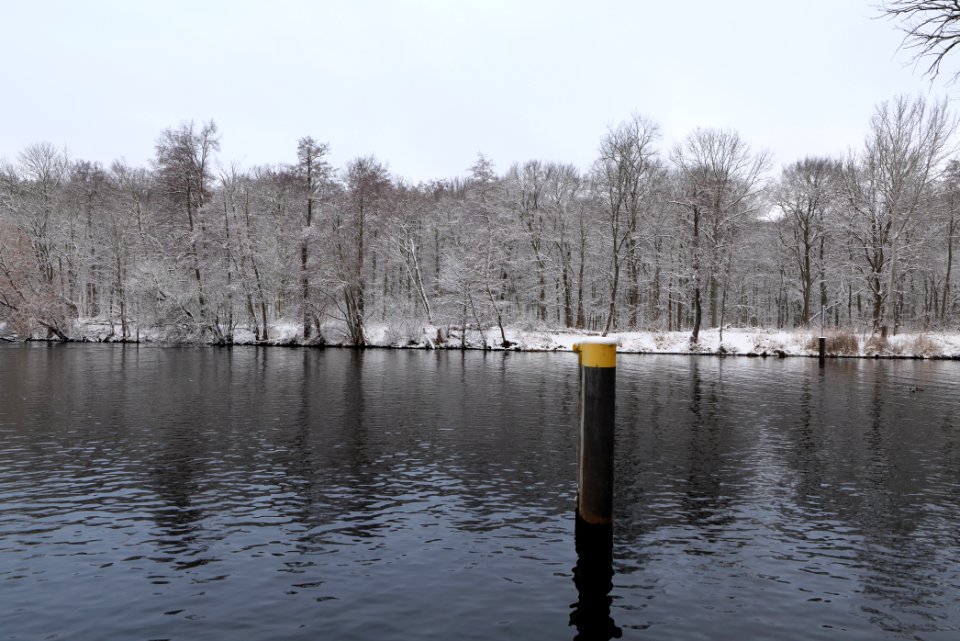 Griebnitzsee with snow 2021-01-30 26