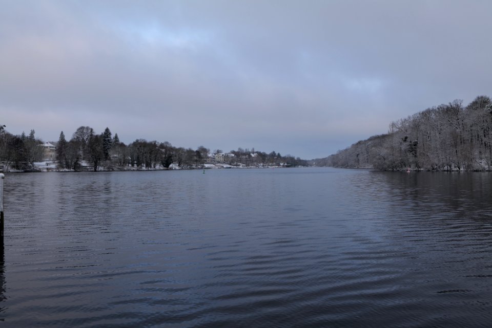 Griebnitzsee with snow 2021-01-30 06