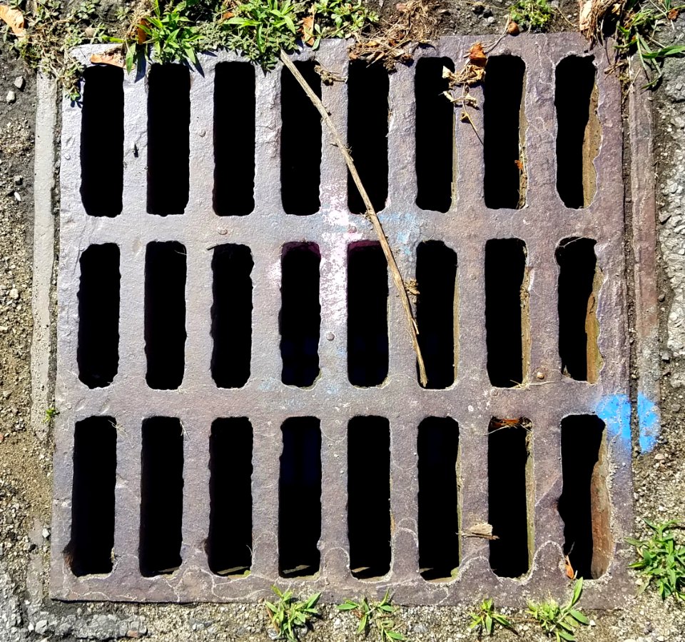 Grate - Arlington, MA - 20200716 094055