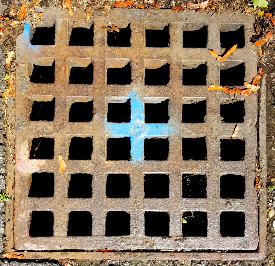 Grate with dots - Arlington, MA - 20200718 103647