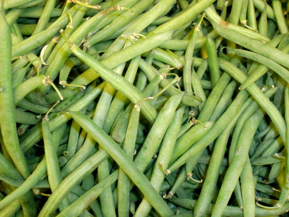 Green beans in a pile