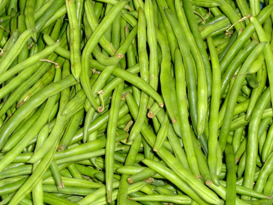 Green beans - Würzburg market - DSC02958