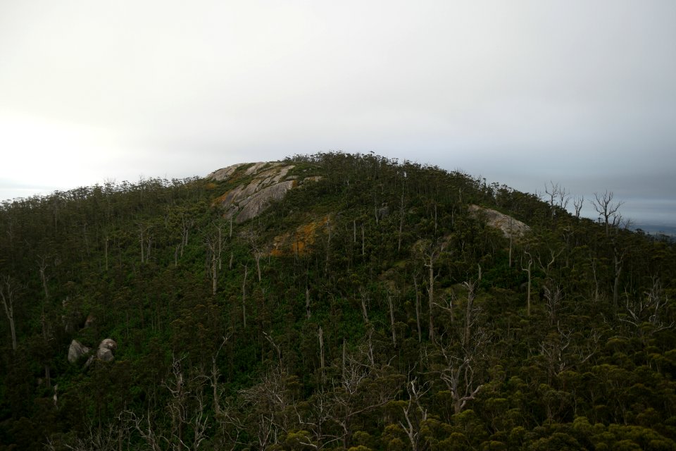 Granite Skywalk, Porongurup National Park 08