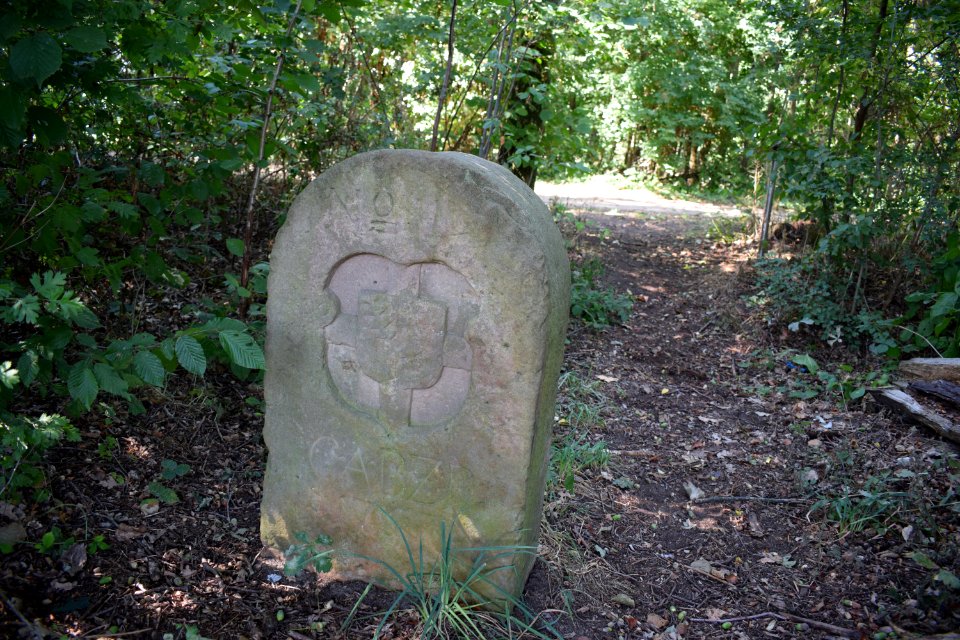 Grenzstein Paderborn-Rietberg Nr. 11 - Paderborner Seite
