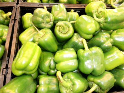 Green bell pepper pile photo
