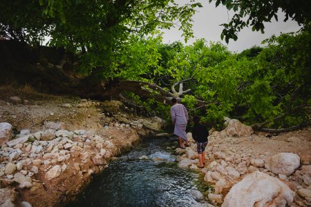 Green views in June of 2019 around the tobacco fields atop Shingal Mountain 01