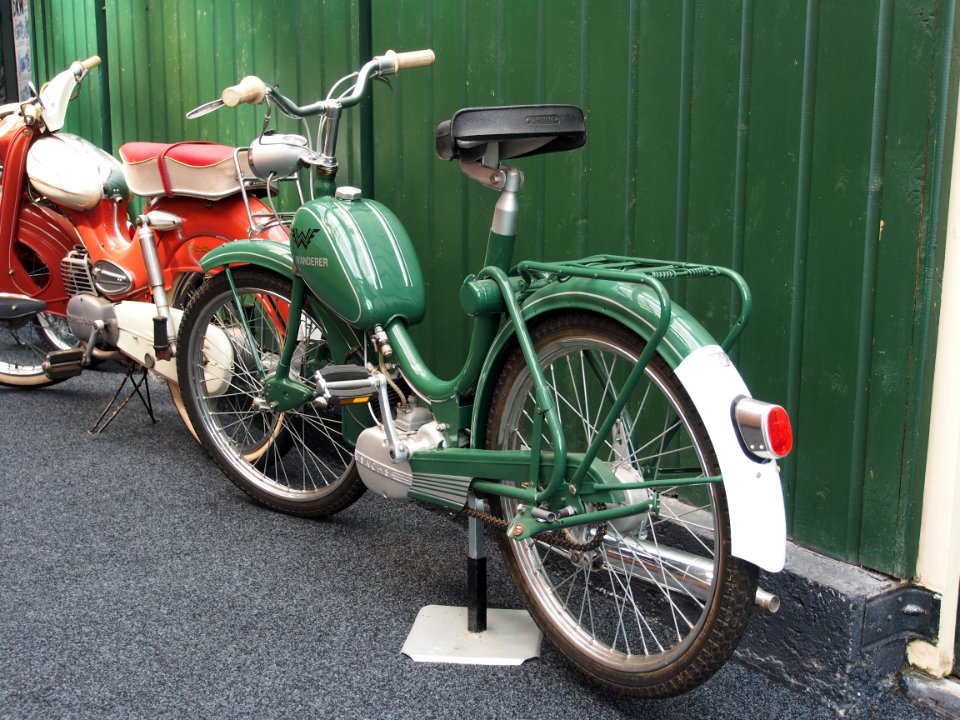Green Wanderer mopet pic1