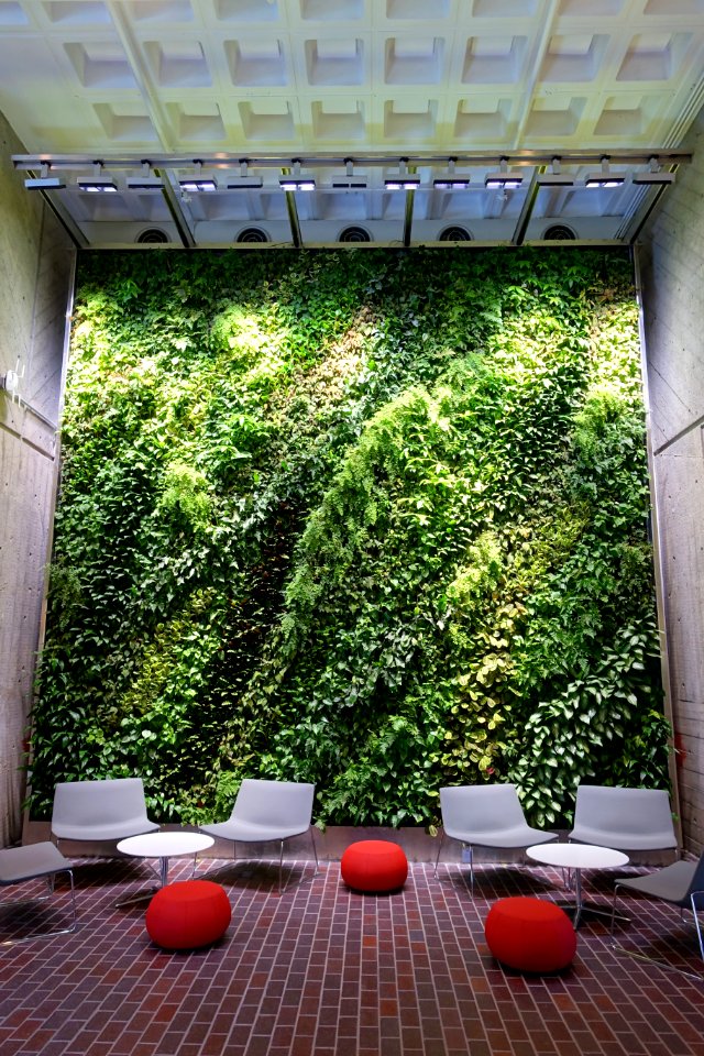 Green wall in the Holyoke Center - Harvard University - Cambridge, MA - DSC06523