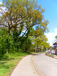 Green Walk, Northgate, Crawley (May 2012) (1)