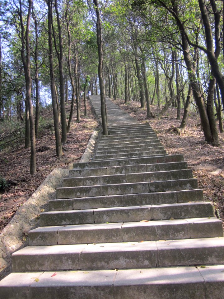 Greenway of Mount Yangtai7
