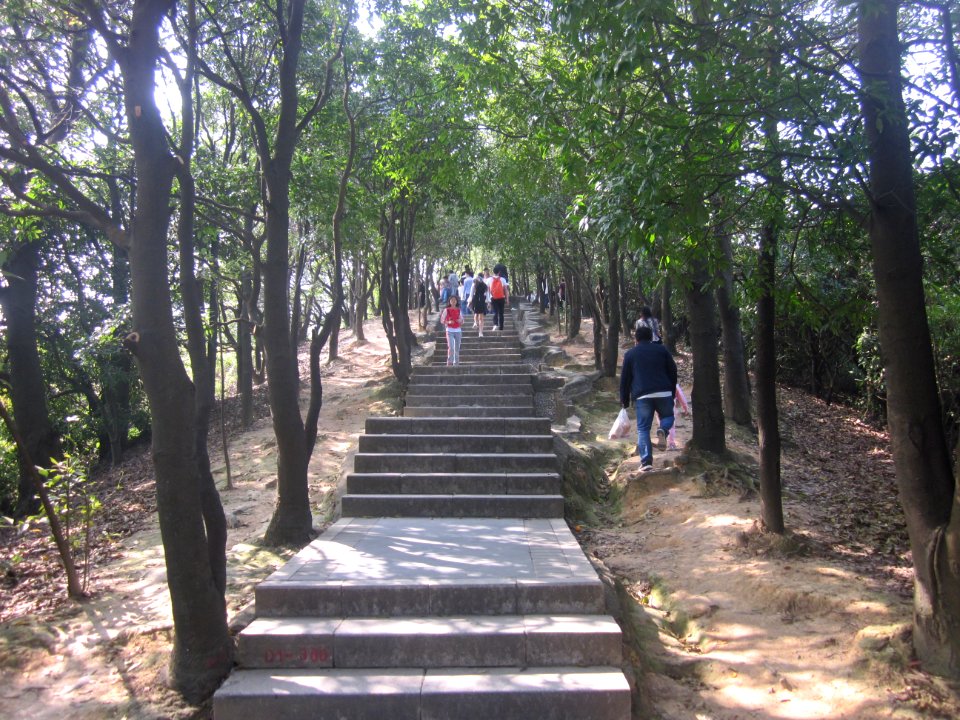 Greenway of Mount Yangtai2