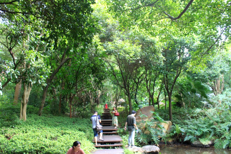 Greenway of Shenzhen International Garden and Flower Expo Park7