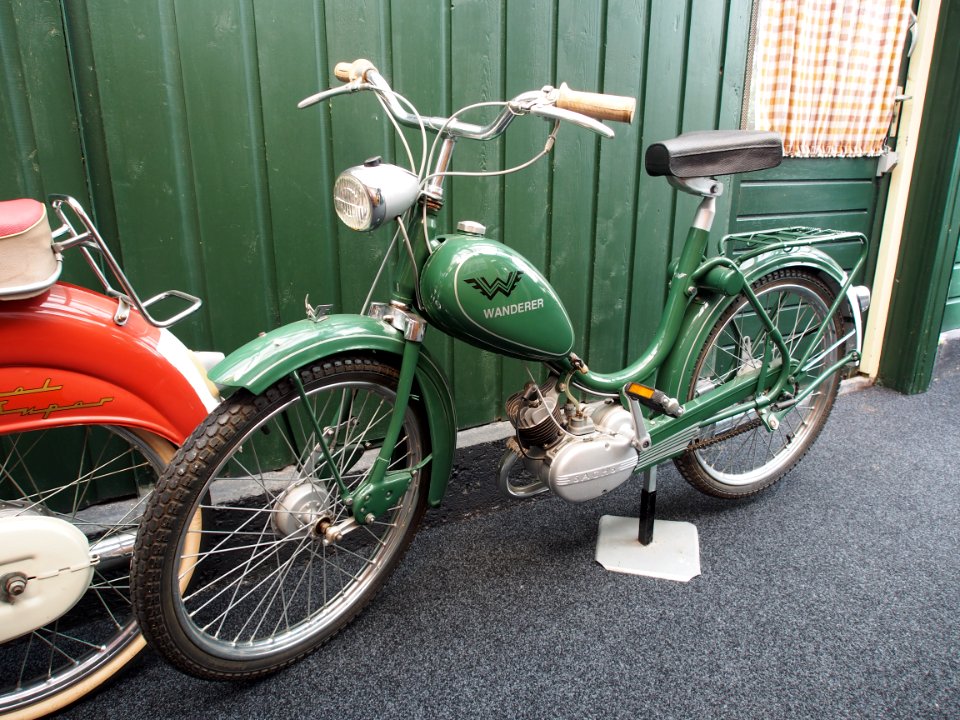 Green Wanderer mopet pic3