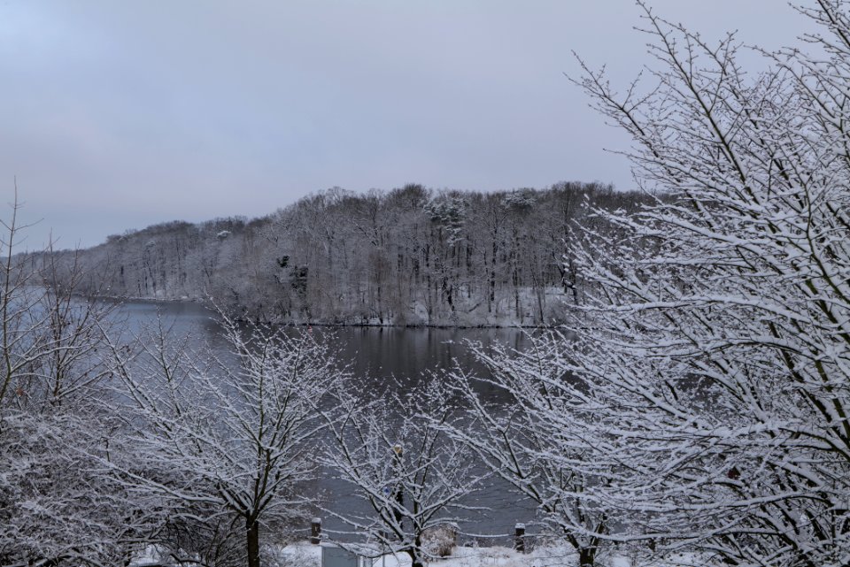 Griebnitzsee with snow 2021-01-30 03