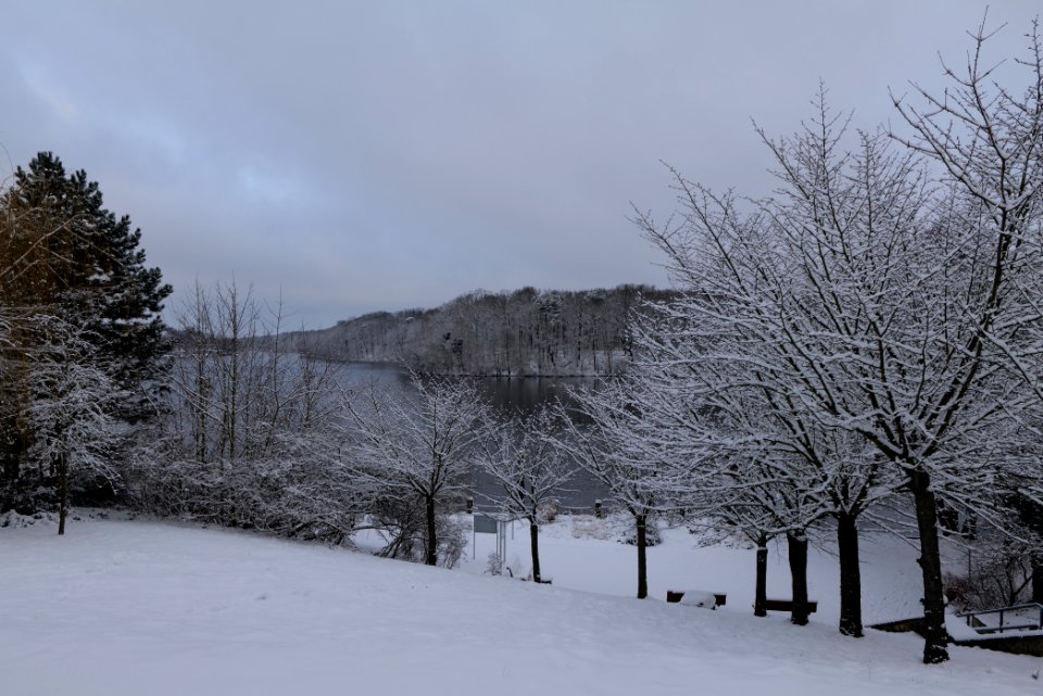 Griebnitzsee with snow 2021-01-30 02