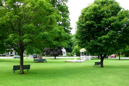 Green - Townshend, Vermont - DSC08410