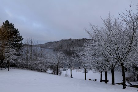 Griebnitzsee with snow 2021-01-30 01