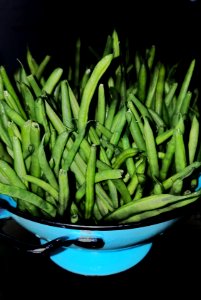 Green beans 2 - Massachusetts