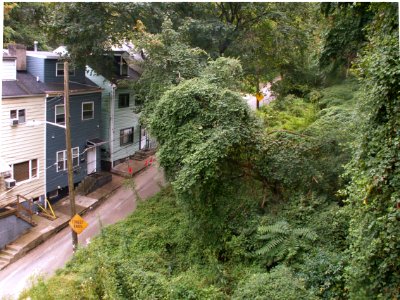 Greeley Street, South Side Slopes, Pittsburgh, 2019-09-14 02