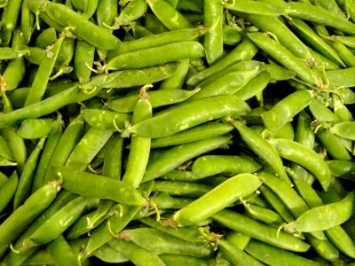 Green beans for sale - Copenhagen - DSC08452 photo