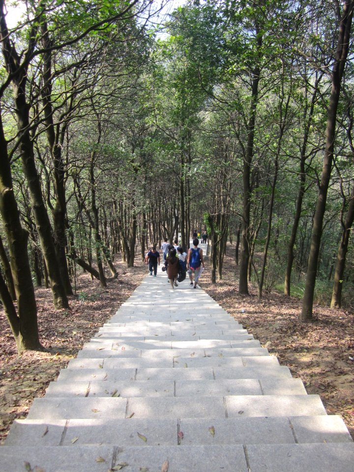 Greenway of Mount Yangtai6