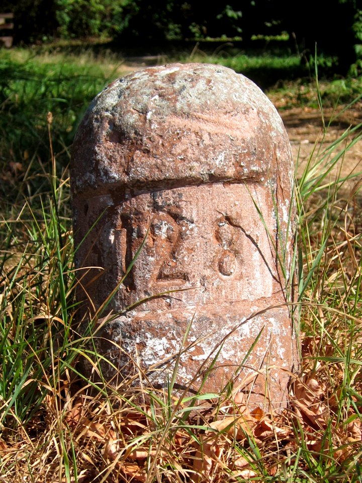 Grenzstein Waldborn