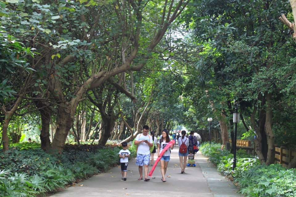 Greenway of Honghu Park4