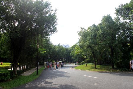 Greenway of Shenzhen International Garden and Flower Expo Park9