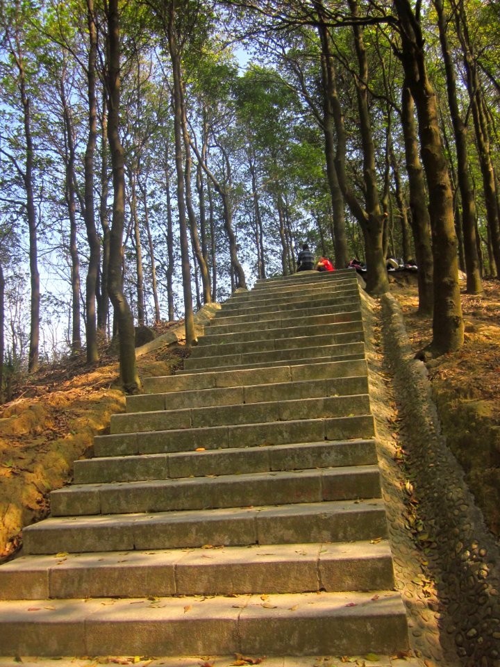 Greenway of Mount Yangtai5