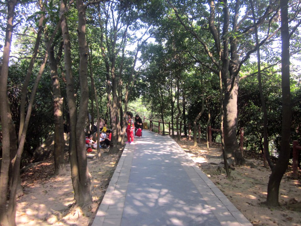 Greenway of Mount Yangtai1