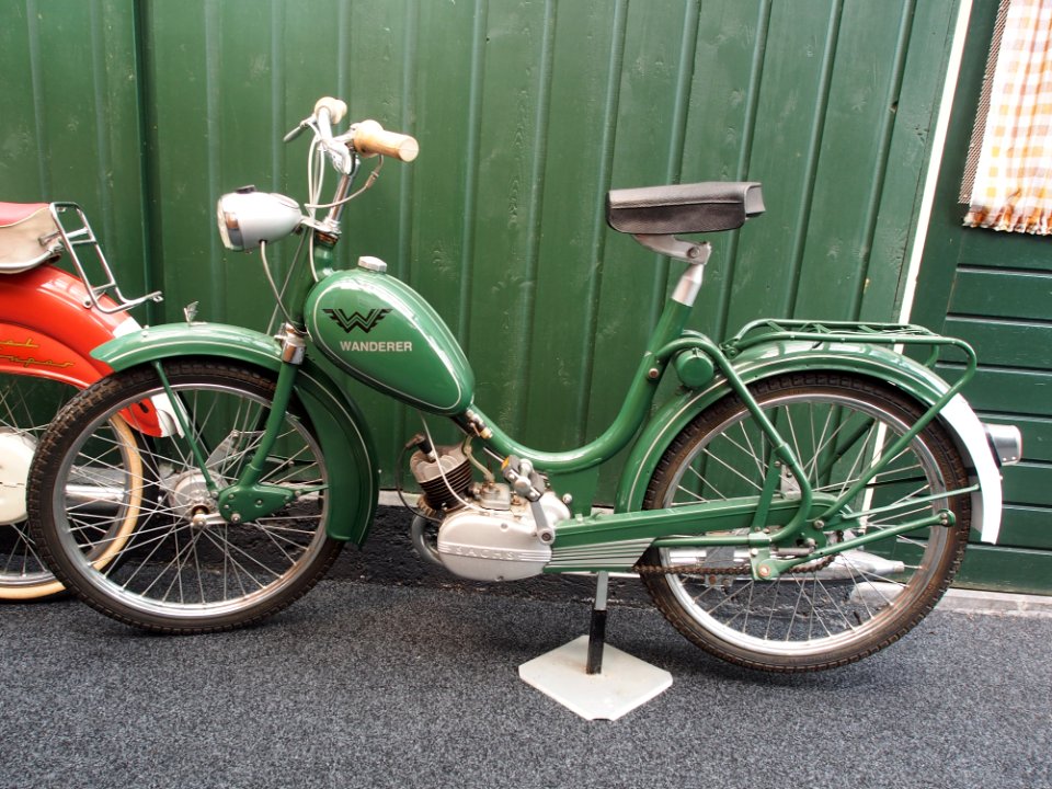 Green Wanderer mopet pic2