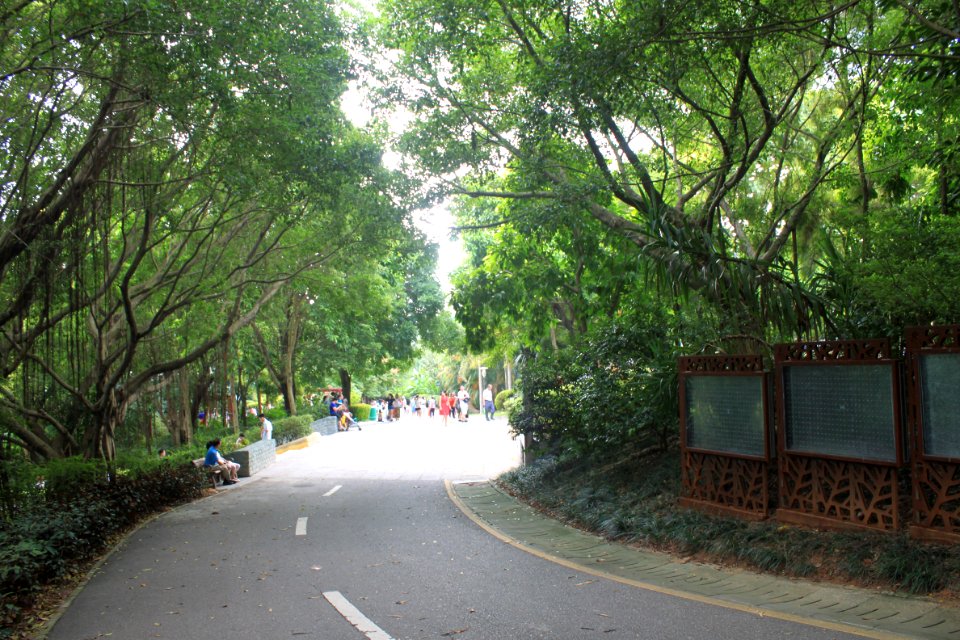 Greenway of Shenzhen International Garden and Flower Expo Park5