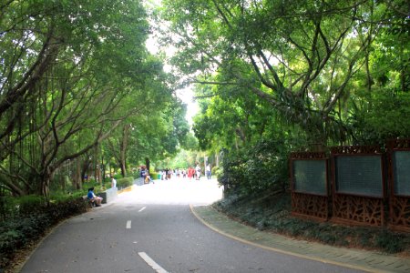 Greenway of Shenzhen International Garden and Flower Expo Park5