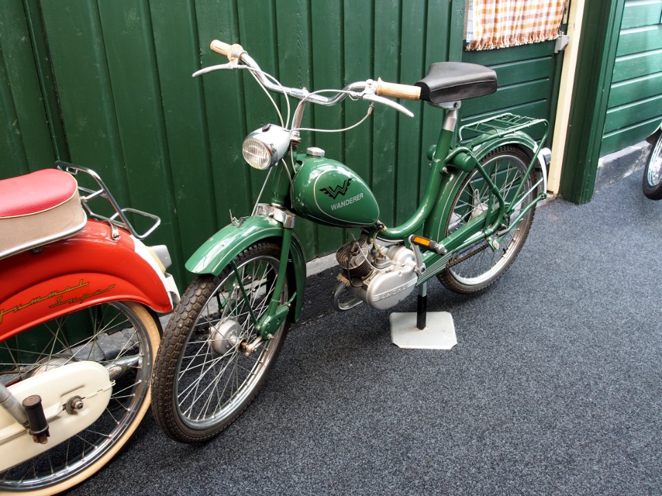 Green Wanderer mopet pic5