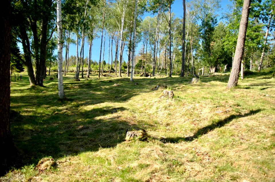 Gravfält Kville 511.1
