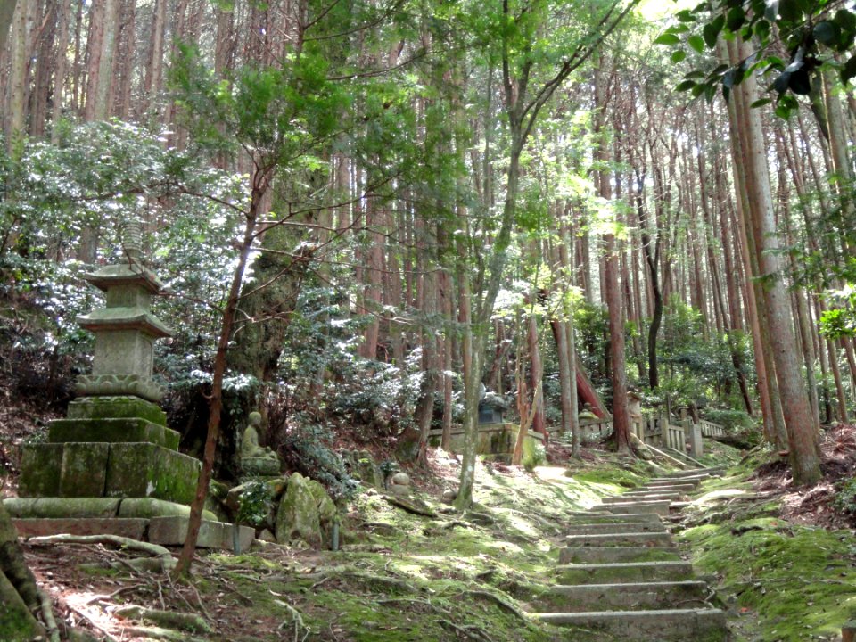 Graveyard - Homyoin Temple - Otsu, Shiga - DSC07571