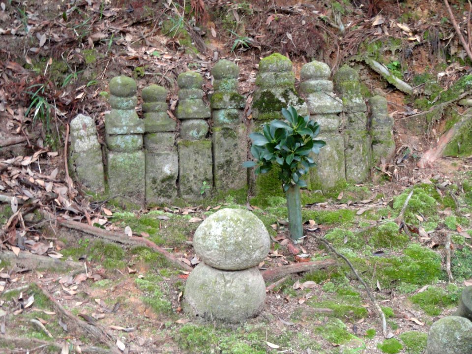Graveyard - Homyoin Temple - Otsu, Shiga - DSC07574