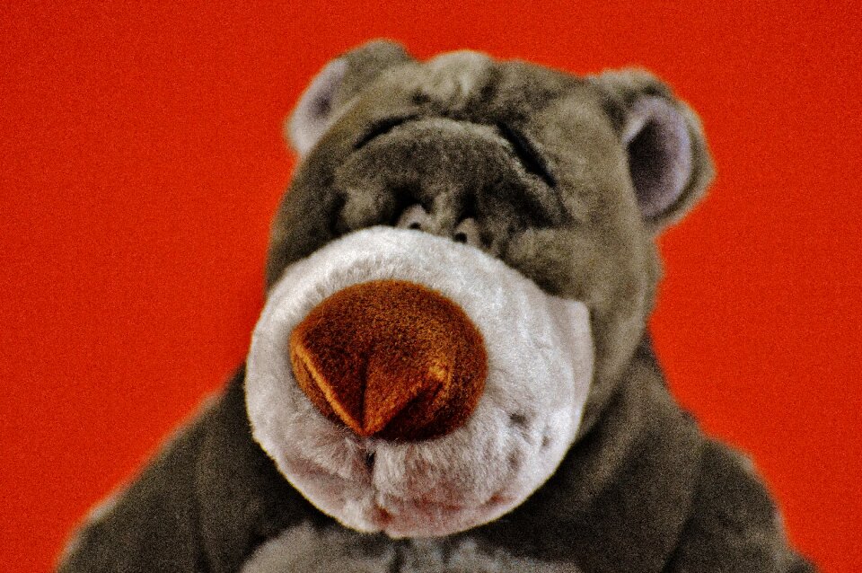 Stuffed animal cute toys