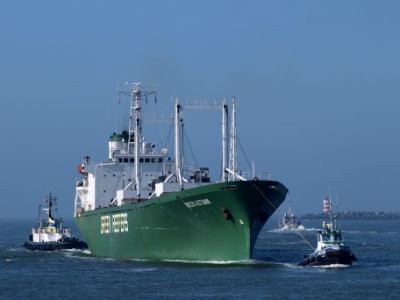 Green Autumn IMO 8126044 p2 Port of Amsterdam 02March2009
