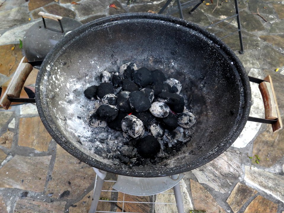 GrillenbeiElvs2017