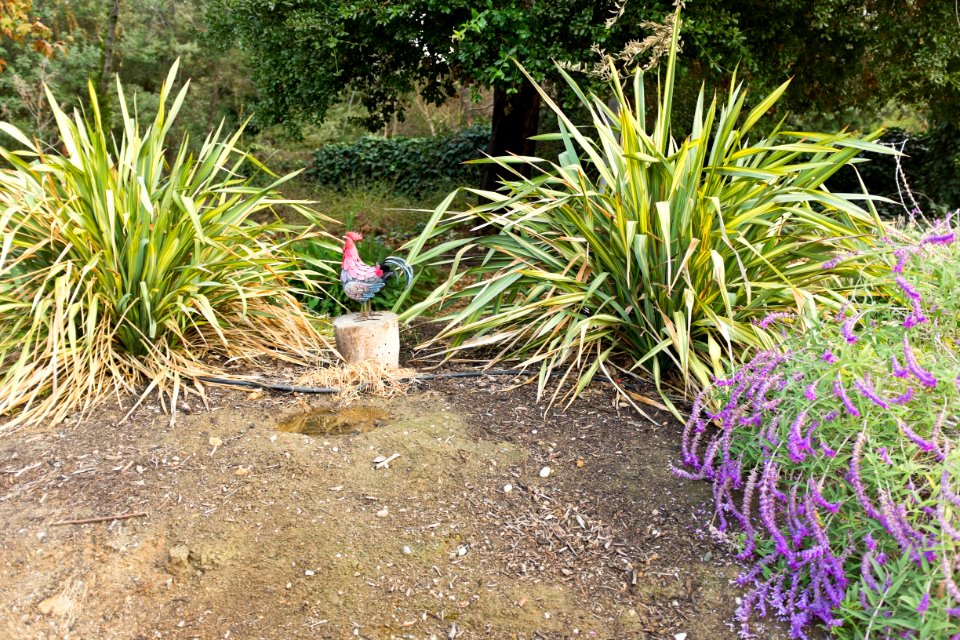 Griffith Park and Southern Railroad Rooster