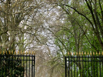 Grilles du Jardin du Luxembourg 1