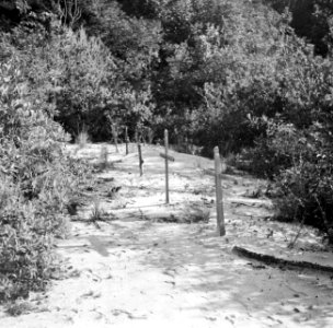Graven op de begraafplaats in de Jodensavanna, Bestanddeelnr 252-6459