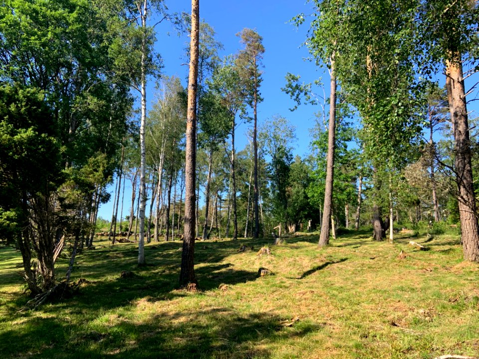 Gravfält Kville 511 1
