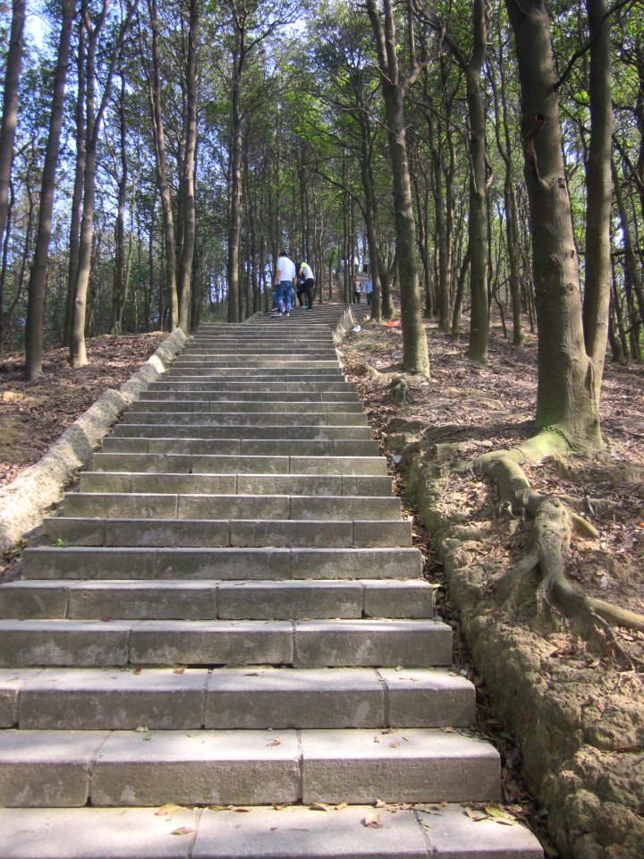 Greenway of Mount Yangtai9